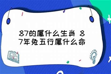 火兔 五行|属兔五行属什么命 属兔人的五行缺什么